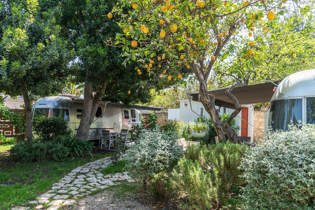 Vintage Airstream and caravan accommodations nestled beneath lemon trees at the camping resort.
